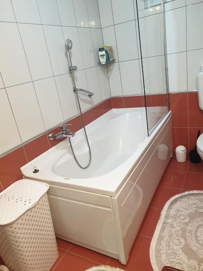 Apartman Sofia Zupanja Bagian luar foto
